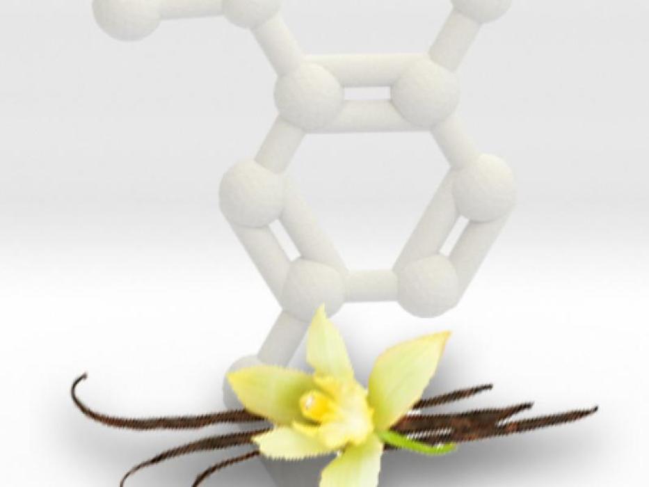 Analyse de la naturalité, étude des bioproduits, vérification des produits biosourcés