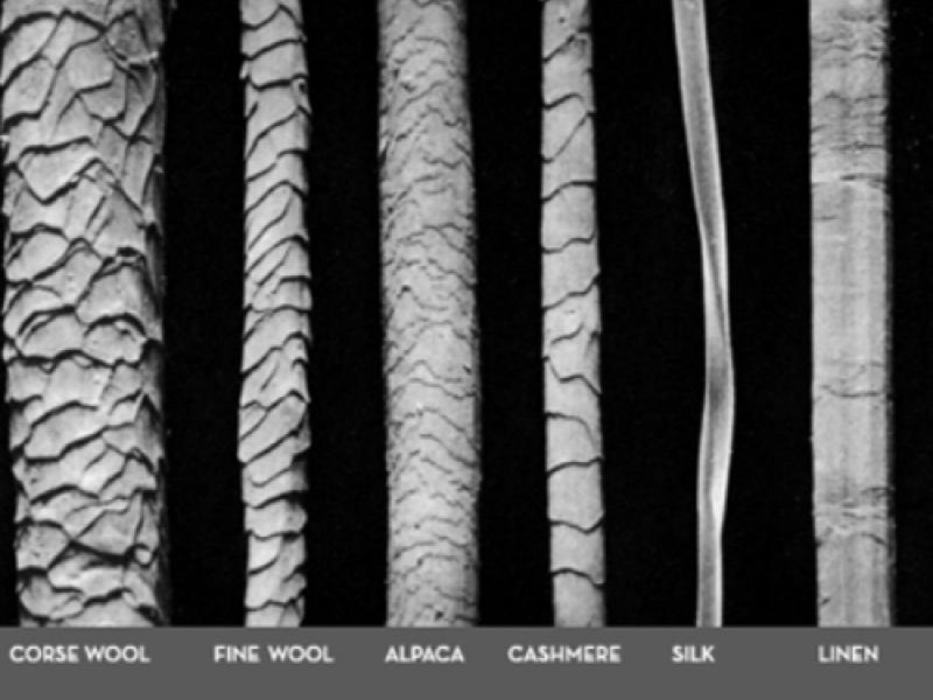 Laboratoire d'analyse et d'identification de fibres